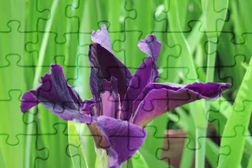 150401 jigsaw puzzle