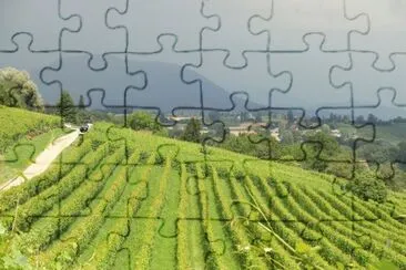 Nature jigsaw puzzle