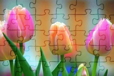 bbg jigsaw puzzle