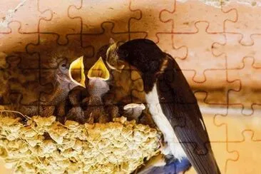 1 jigsaw puzzle