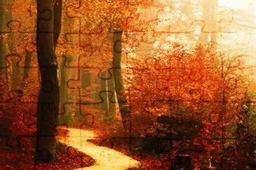 wood jigsaw puzzle