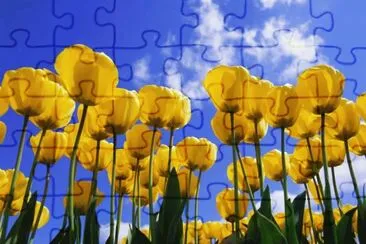 tulip jigsaw puzzle