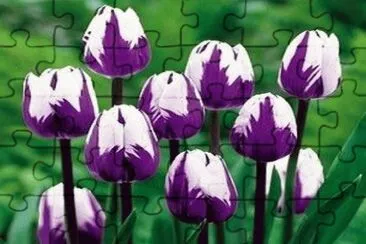 t jigsaw puzzle