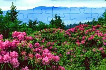 פאזל של flores