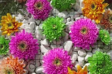 543 jigsaw puzzle