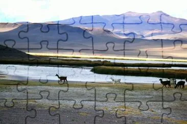 Antofagasta de la Sierra. Catamarca. Argentina jigsaw puzzle