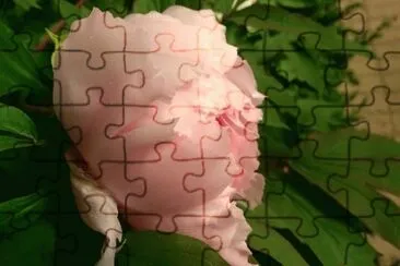 a14 jigsaw puzzle