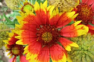 gaillarde jigsaw puzzle