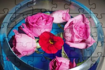 roses