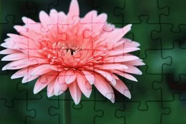 æ³¢ jigsaw puzzle