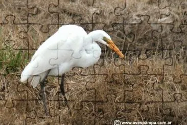 garza blanca 4