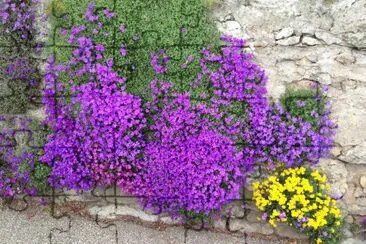Fleurs jigsaw puzzle