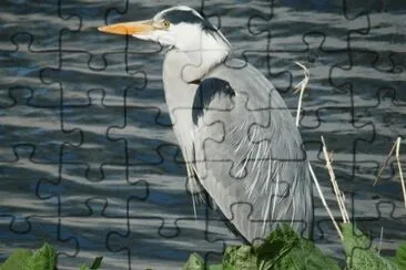 HÃ©ron (Nl) jigsaw puzzle