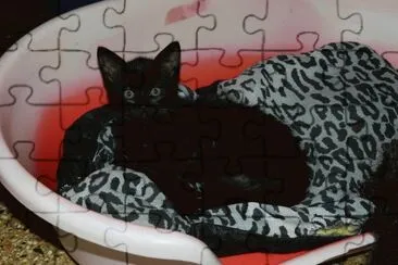 la chilindrina jigsaw puzzle