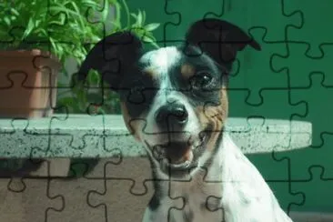 Â¡Hola! jigsaw puzzle
