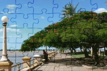 Costanera de la Ciudad de Corrientes. Argentina jigsaw puzzle