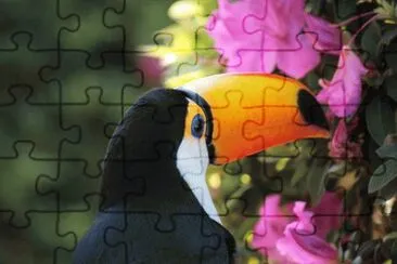 TucÃ¡n jigsaw puzzle