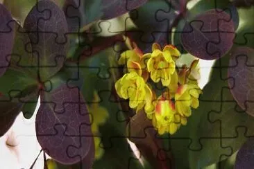 Agracejo jigsaw puzzle