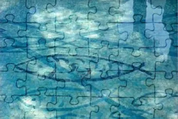 פאזל של 17