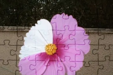 cosmos jigsaw puzzle