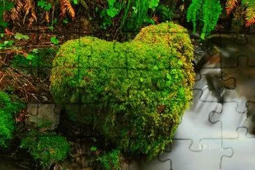 Bing image jigsaw puzzle
