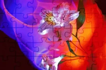 lly jigsaw puzzle