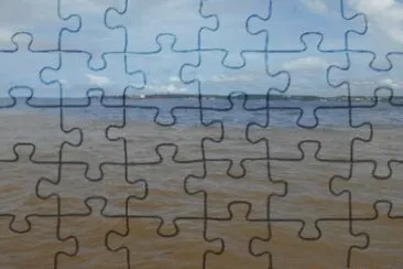 Rio Negro e SolimÃµes - Manaus - AM jigsaw puzzle