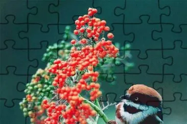. jigsaw puzzle