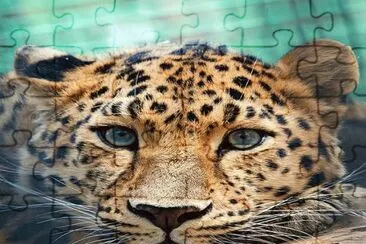 . jigsaw puzzle