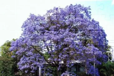 En Ramallo. Buenos Aires. Argentina