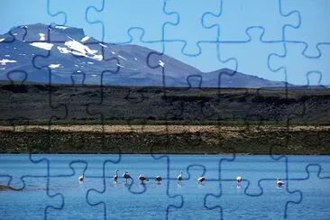 פאזל של ANP Laguna Blanca. NeuquÃ©n. Argentina