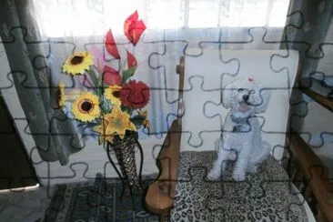 DAISY jigsaw puzzle