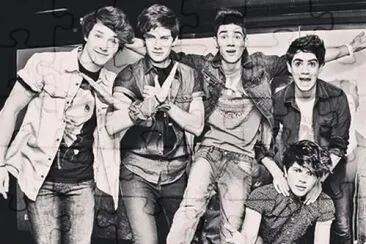 cd9  jigsaw puzzle