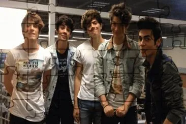 cd9 jigsaw puzzle