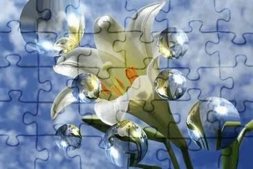 lys jigsaw puzzle