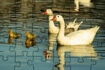 familia jigsaw puzzle