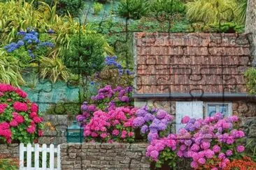 NÂº 901 jigsaw puzzle