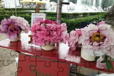 Peonie jigsaw puzzle