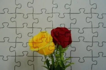 ROSALES jigsaw puzzle
