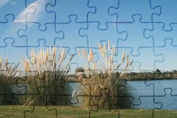 colas de zorros jigsaw puzzle