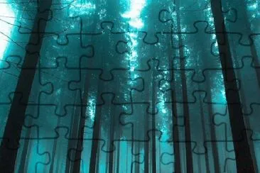 102 jigsaw puzzle