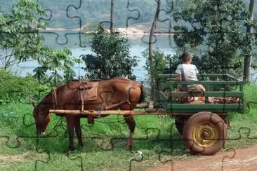 Puerto Piray. Misiones. Argentina jigsaw puzzle