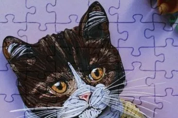 Quilled Cat