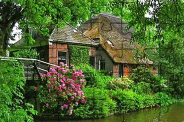 Casa na floresta jigsaw puzzle