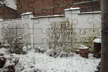 Hiver au jardin (Verviers-Belgium)