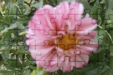 DALIA jigsaw puzzle