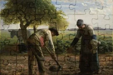 66