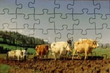 137