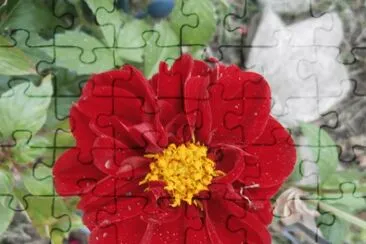 FLORE MÃAS jigsaw puzzle