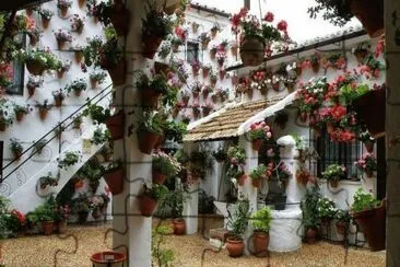 NÂº 942 jigsaw puzzle